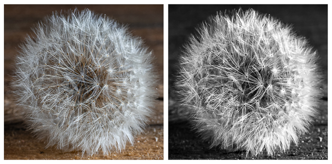 20 -Fluffy Pattern mono copy